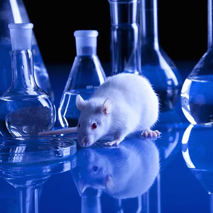 Image of a mouse and lab beakers representing Animal Care and Research