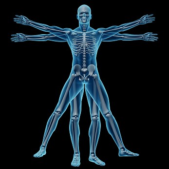 Human Research Protection Program