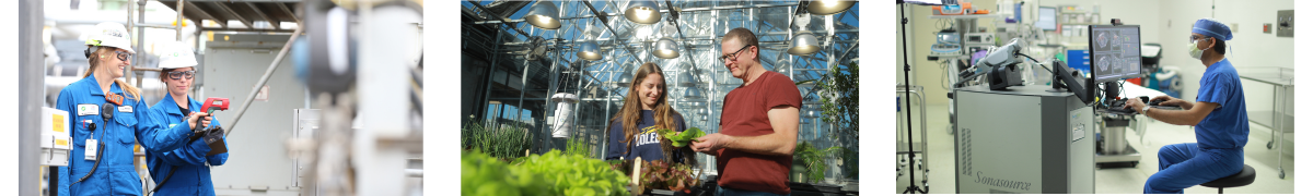 Research Images Research Images