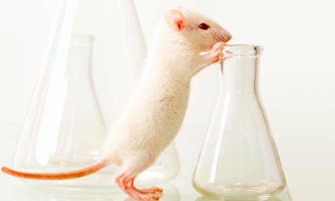 Image of a Lab Mouse standing at a beaker representing DLAR