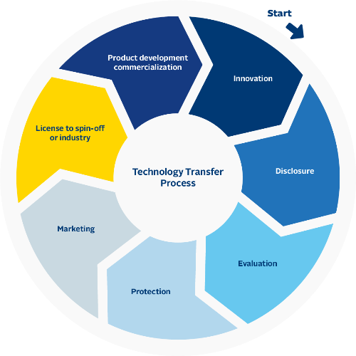 Segmented wheel with sections containing titles of the commercialization process