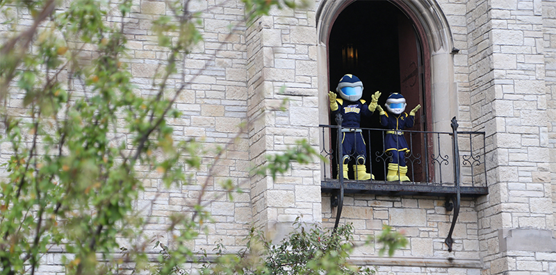 rocky & rocksy standing in a window at Uhall