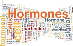 Hormones