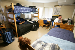Two young men in their dorm room, one lying on the bed studying and one at his desk on his computer.