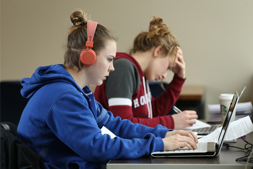 Two students studying