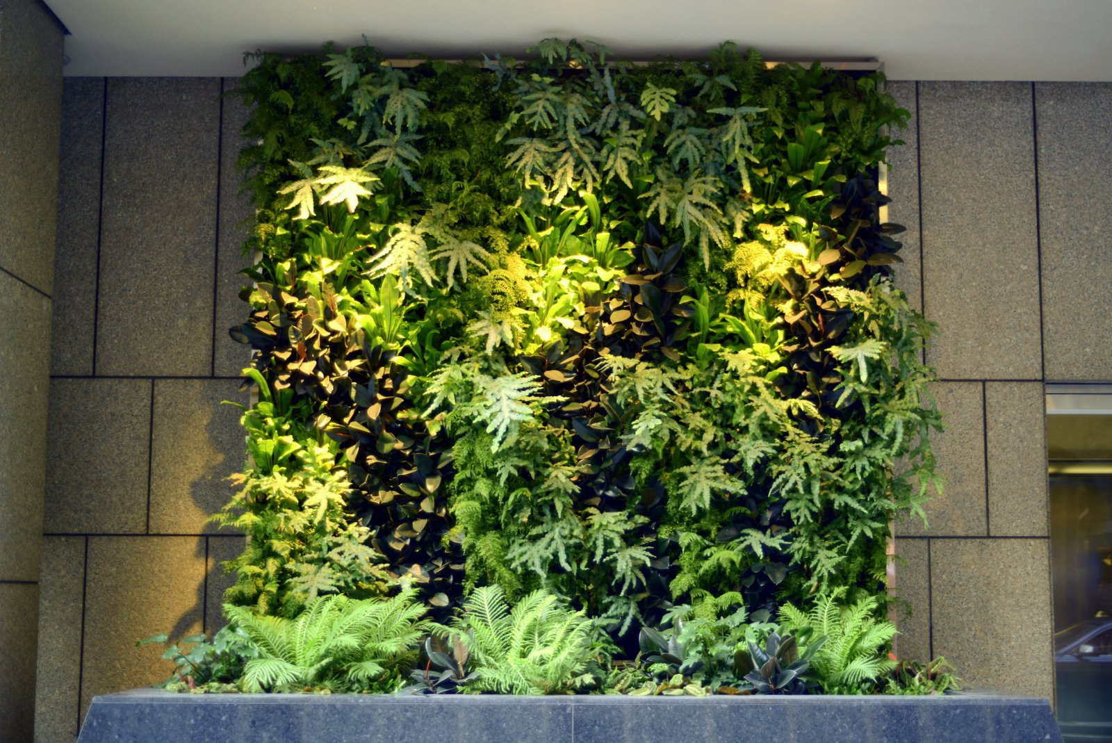 Living Green Wall